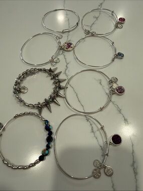ALEX AND ANI Silver Expandable Bracelets